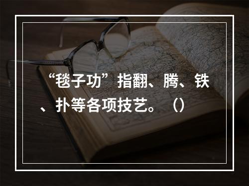 “毯子功”指翻、腾、铁、扑等各项技艺。（）