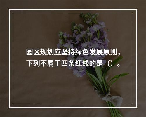 园区规划应坚持绿色发展原则，下列不属于四条红线的是（）。