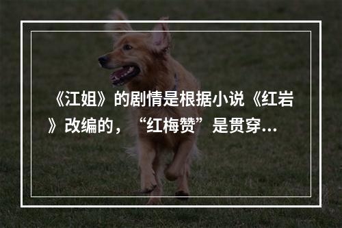 《江姐》的剧情是根据小说《红岩》改编的，“红梅赞”是贯穿全剧