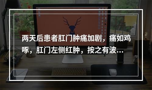 两天后患者肛门肿痛加剧，痛如鸡啄，肛门左侧红肿，按之有波动感