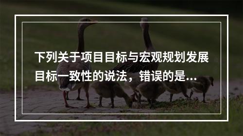 下列关于项目目标与宏观规划发展目标一致性的说法，错误的是（　