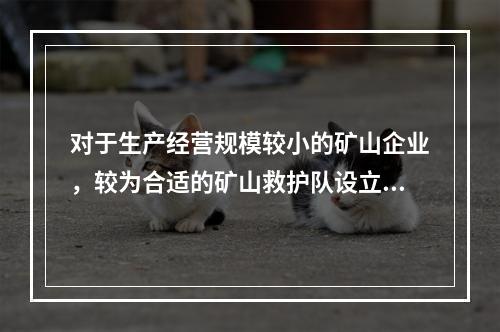 对于生产经营规模较小的矿山企业，较为合适的矿山救护队设立方式