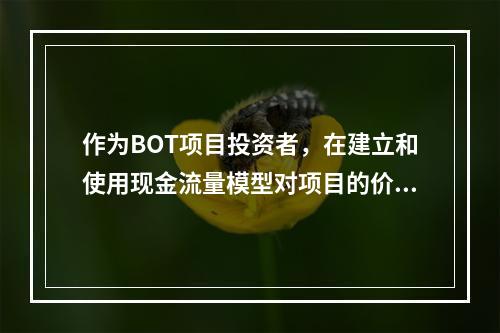 作为BOT项目投资者，在建立和使用现金流量模型对项目的价值和