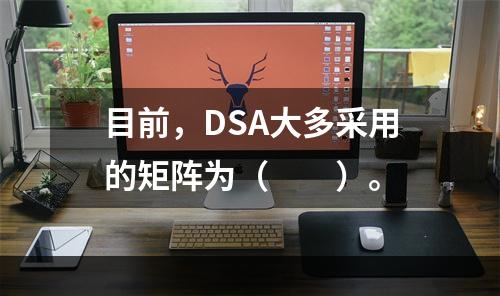 目前，DSA大多采用的矩阵为（　　）。