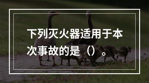 下列灭火器适用于本次事故的是（）。