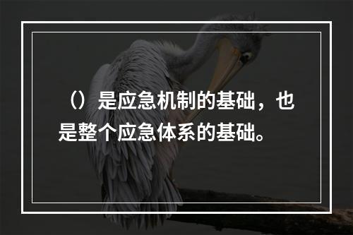 （）是应急机制的基础，也是整个应急体系的基础。