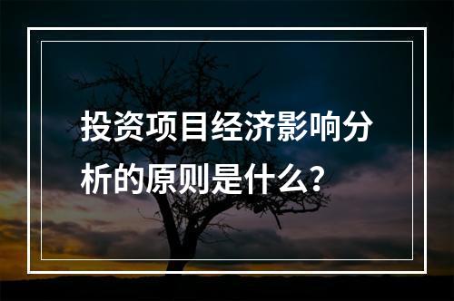 投资项目经济影响分析的原则是什么？