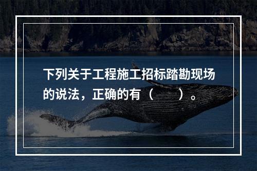 下列关于工程施工招标踏勘现场的说法，正确的有（　　）。