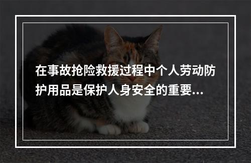 在事故抢险救援过程中个人劳动防护用品是保护人身安全的重要手段