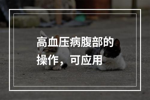 高血压病腹部的操作，可应用