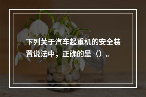 下列关于汽车起重机的安全装置说法中，正确的是（）。