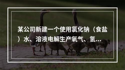 某公司新建一个使用氯化钠（食盐）水、溶液电解生产氧气、氢氧化