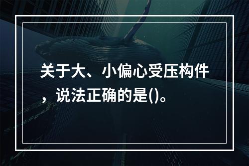 关于大、小偏心受压构件，说法正确的是()。