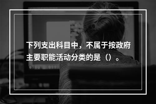 下列支出科目中，不属于按政府主要职能活动分类的是（）。