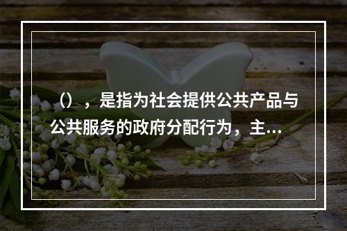 （），是指为社会提供公共产品与公共服务的政府分配行为，主要着