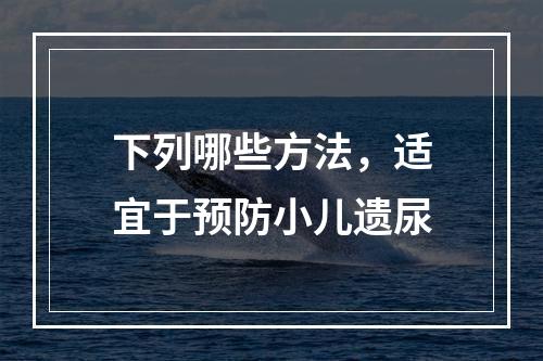 下列哪些方法，适宜于预防小儿遗尿