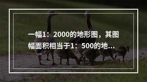 一幅1：2000的地形图，其图幅面积相当于1：500的地形图