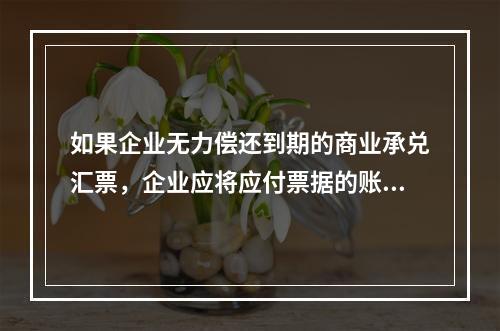 如果企业无力偿还到期的商业承兑汇票，企业应将应付票据的账面余