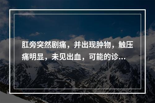 肛旁突然剧痛，并出现肿物，触压痛明显，未见出血，可能的诊断是