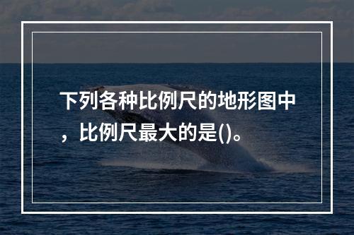 下列各种比例尺的地形图中，比例尺最大的是()。