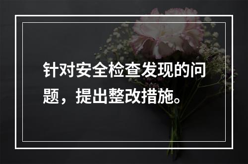 针对安全检查发现的问题，提出整改措施。