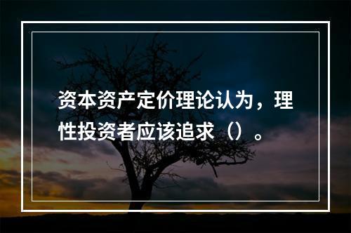 资本资产定价理论认为，理性投资者应该追求（）。