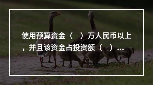 使用预算资金（　）万人民币以上，并且该资金占投资额（　）以上