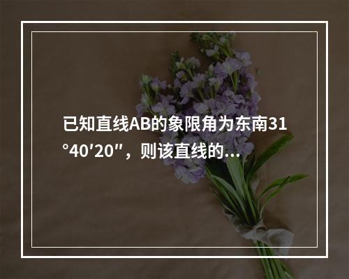 已知直线AB的象限角为东南31°40′20″，则该直线的坐标