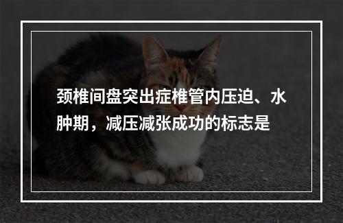 颈椎间盘突出症椎管内压迫、水肿期，减压减张成功的标志是