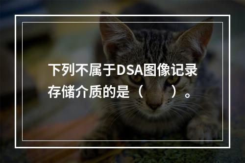 下列不属于DSA图像记录存储介质的是（　　）。