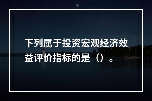 下列属于投资宏观经济效益评价指标的是（）。