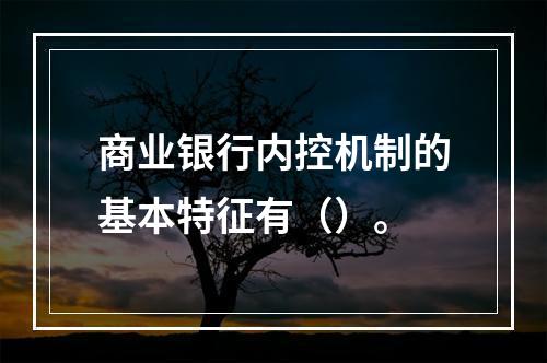 商业银行内控机制的基本特征有（）。