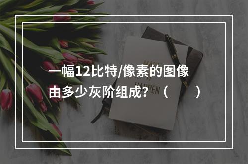 一幅12比特/像素的图像由多少灰阶组成？（　　）