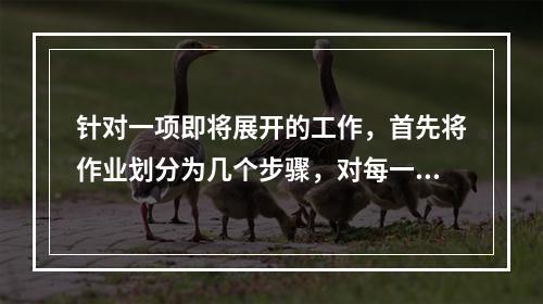 针对一项即将展开的工作，首先将作业划分为几个步骤，对每一步骤