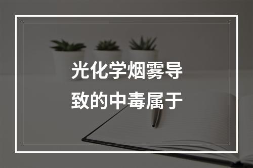 光化学烟雾导致的中毒属于