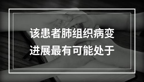 该患者肺组织病变进展最有可能处于