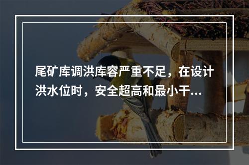 尾矿库调洪库容严重不足，在设计洪水位时，安全超高和最小干滩长