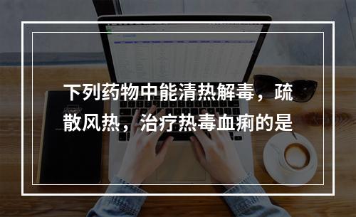 下列药物中能清热解毒，疏散风热，治疗热毒血痢的是