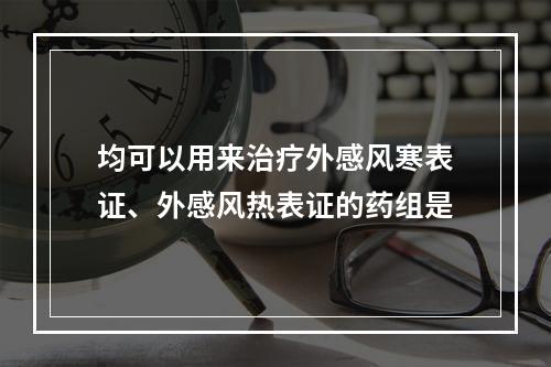 均可以用来治疗外感风寒表证、外感风热表证的药组是