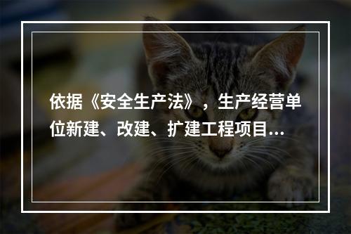 依据《安全生产法》，生产经营单位新建、改建、扩建工程项目的（