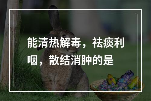 能清热解毒，祛痰利咽，散结消肿的是