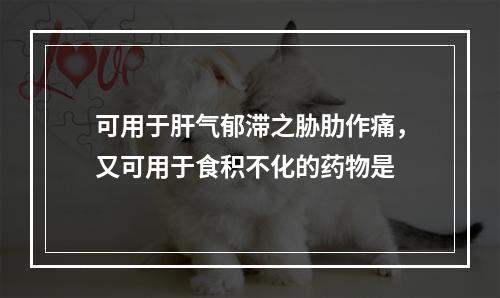 可用于肝气郁滞之胁肋作痛，又可用于食积不化的药物是