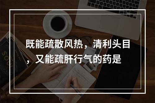 既能疏散风热，清利头目，又能疏肝行气的药是