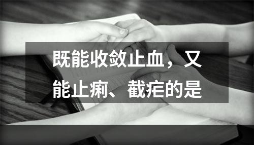 既能收敛止血，又能止痢、截疟的是