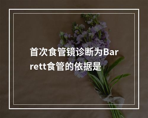 首次食管镜诊断为Barrett食管的依据是