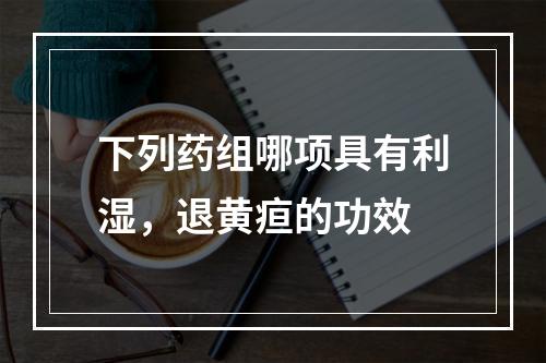 下列药组哪项具有利湿，退黄疸的功效