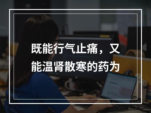 既能行气止痛，又能温肾散寒的药为