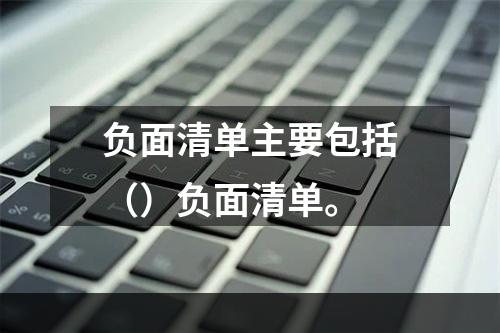 负面清单主要包括（）负面清单。