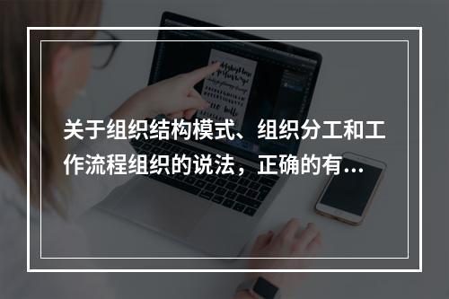 关于组织结构模式、组织分工和工作流程组织的说法，正确的有（　