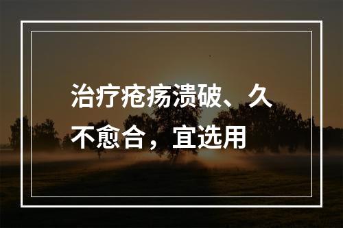 治疗疮疡溃破、久不愈合，宜选用